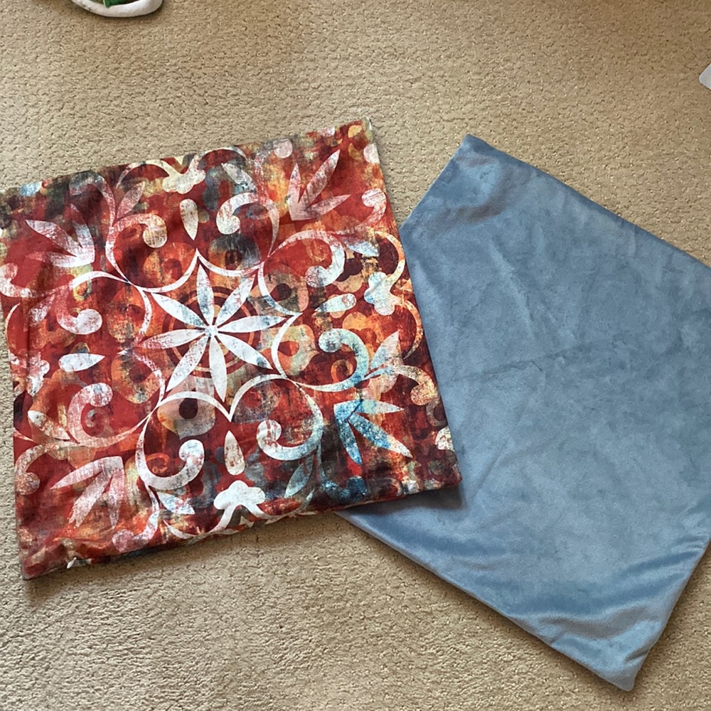 NWOT Two Pillow Covers